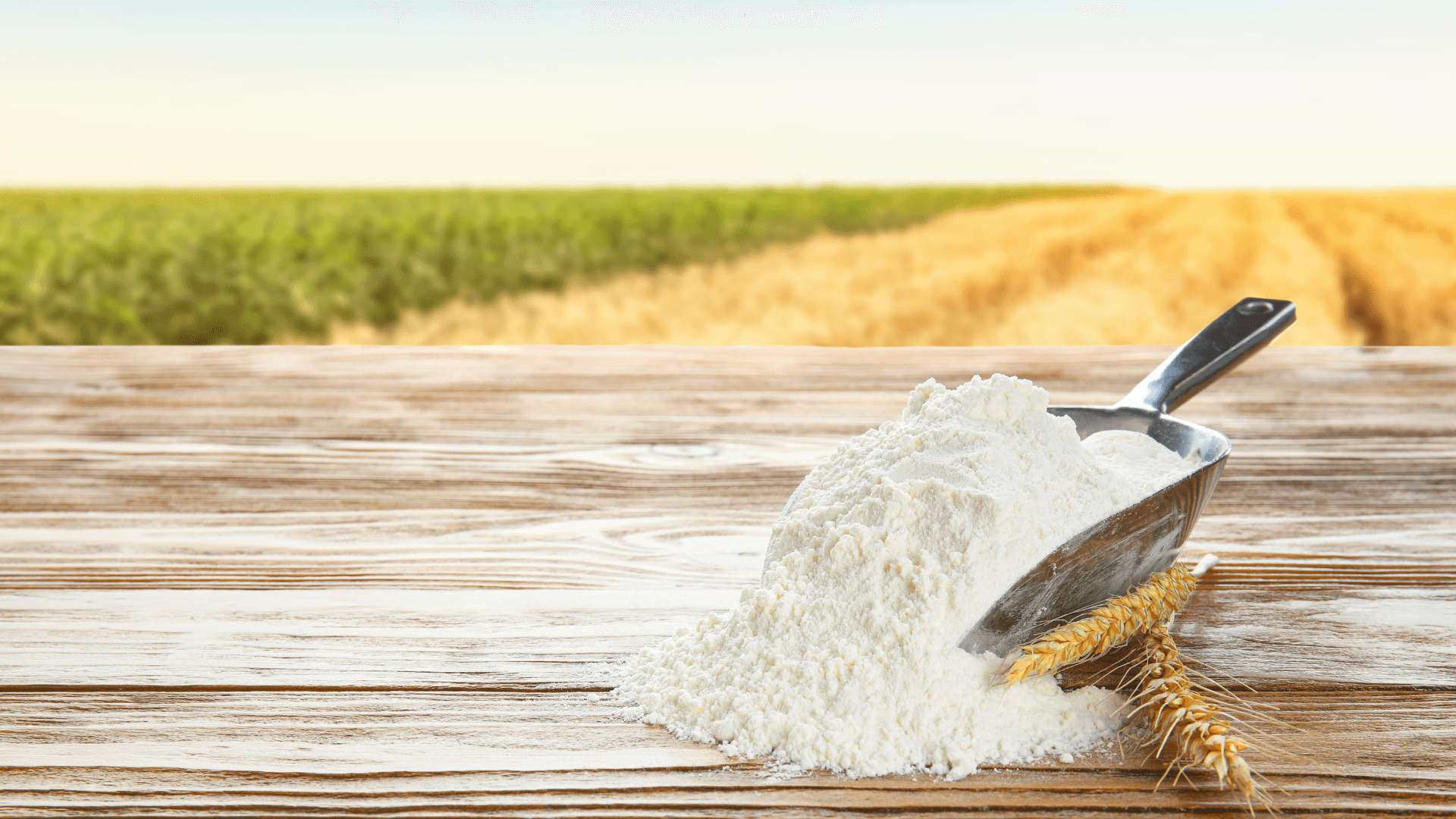 Farinhas de cereais para a indústria alimentar